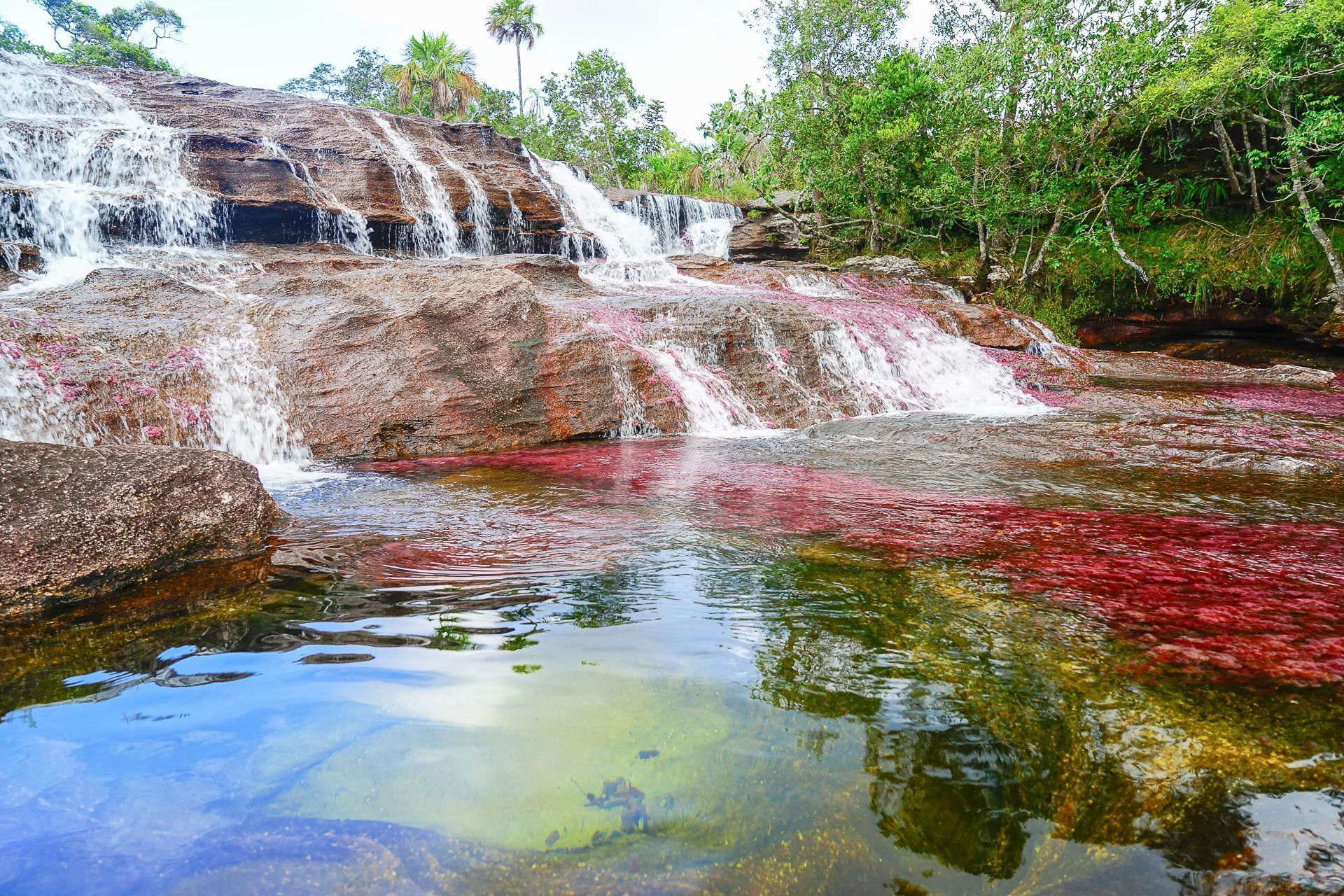 des vacances nature sur le continent americain