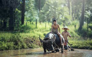 Le Cambodge sans visa pour les marocains