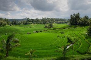 Indonesie sans visa pour les marocains
