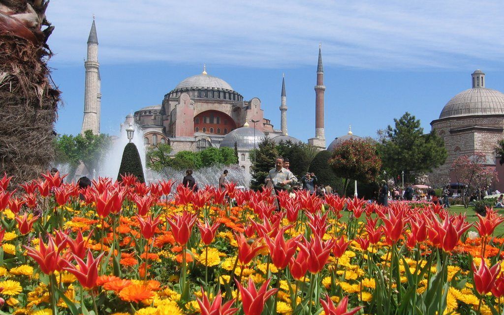 Festival des Mille et une tulipes à Istanbul