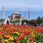 Festival des Mille et une tulipes à Istanbul