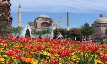 Festival des Mille et une tulipes à Istanbul