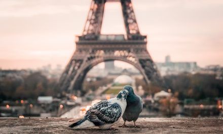 Ton City-Guide de Paris : l’essentiel pour découvrir la ville lumière