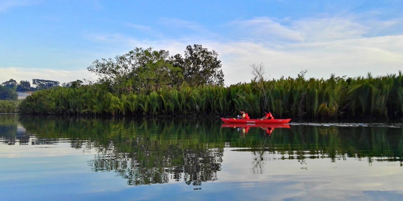 Testé par les voyageuses : Kayak nocturne sur l’île de Bohol aux Philippines