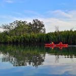Testé par les voyageuses : Kayak nocturne sur l’île de Bohol aux Philippines