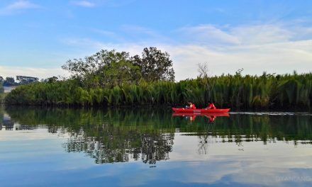 Testé par les voyageuses : Kayak nocturne sur l’île de Bohol aux Philippines