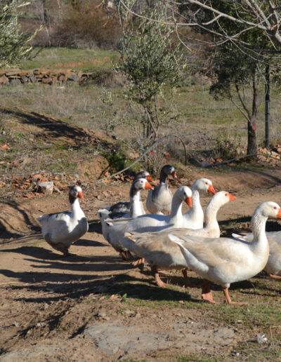 testé par les voyageuses - ferme d'hôte la vallée à Azrou